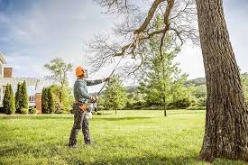 Best Lawn Disease Treatment  in Duncansville, PA