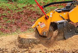 Best Hedge Trimming  in Duncansville, PA