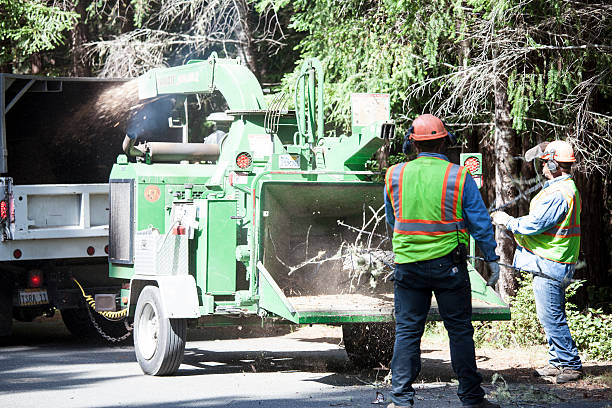 Best Mulching Services  in Duncansville, PA